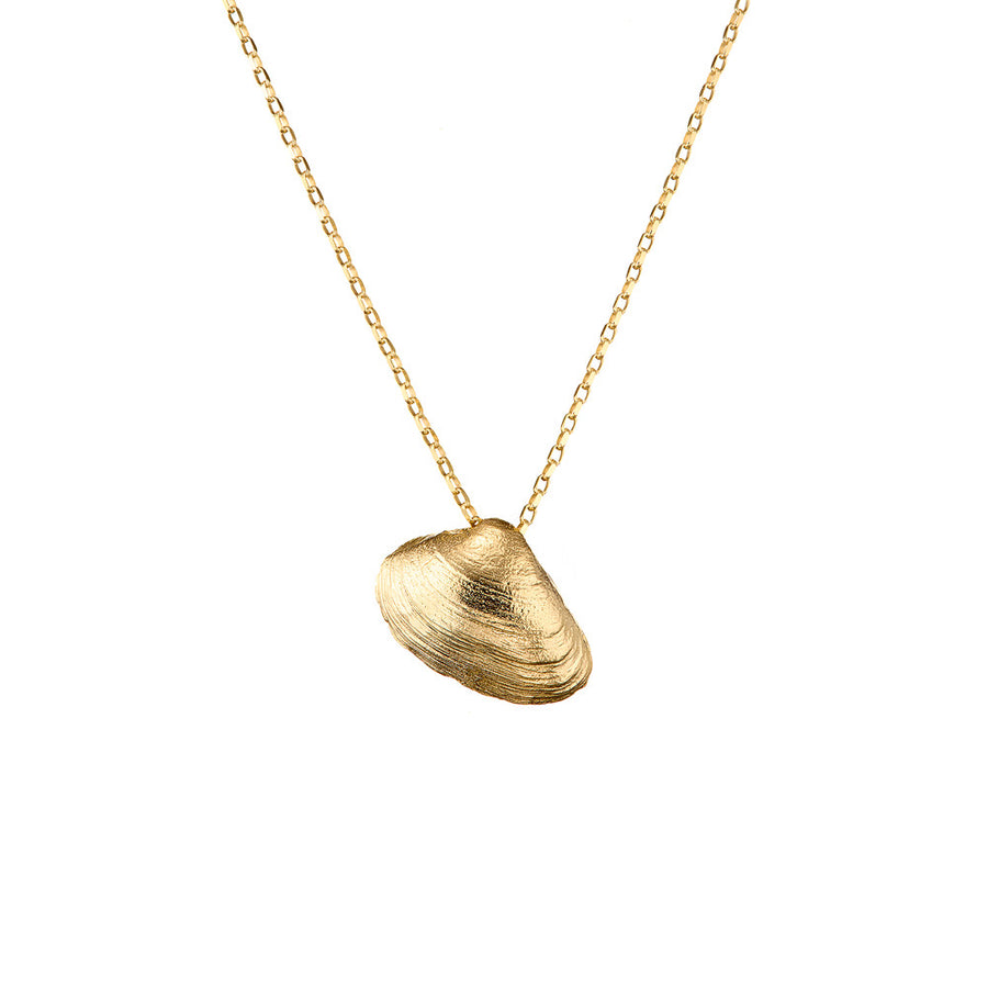 9ct Gold Clam Shell Necklace