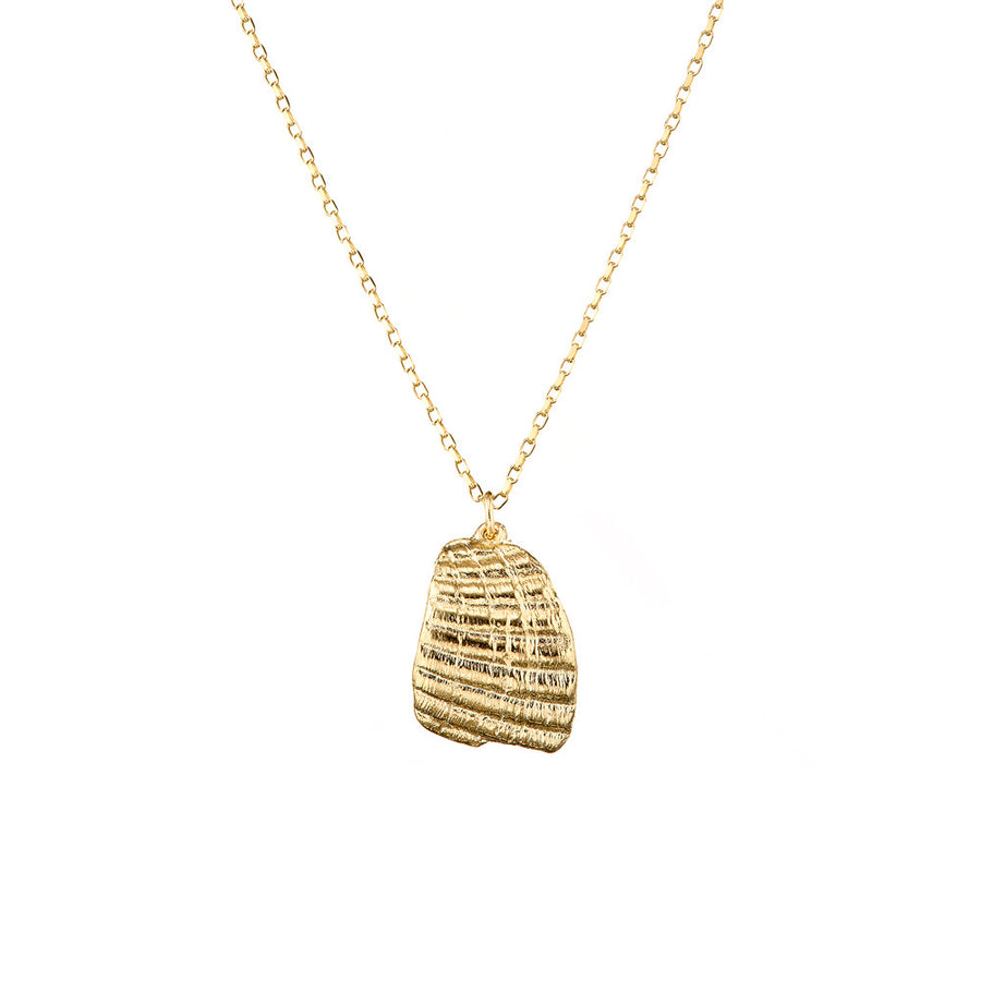 9ct Gold Shell Necklace