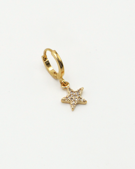 Lily Star Silver Earrings